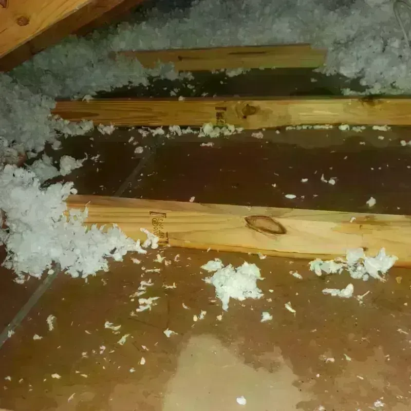 Attic Water Damage in West University Place, TX